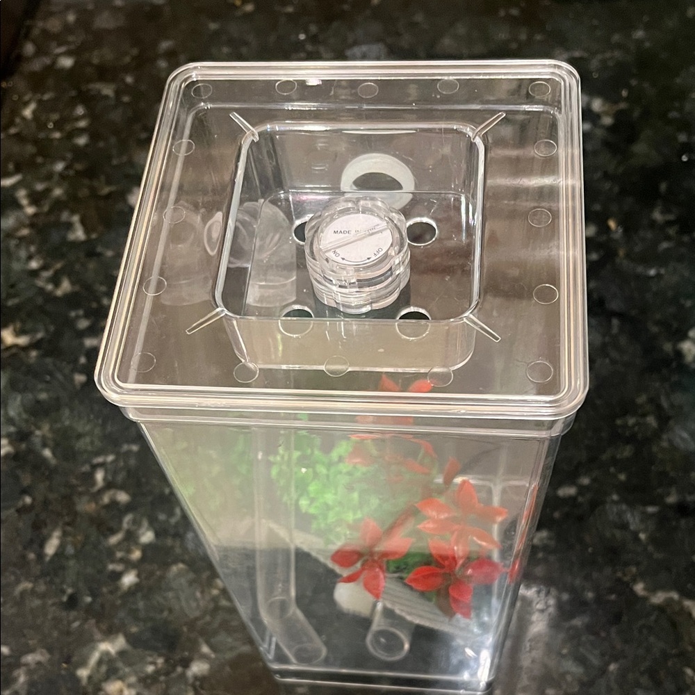 Clear Acrylic Terrarium with Red and Green Plant